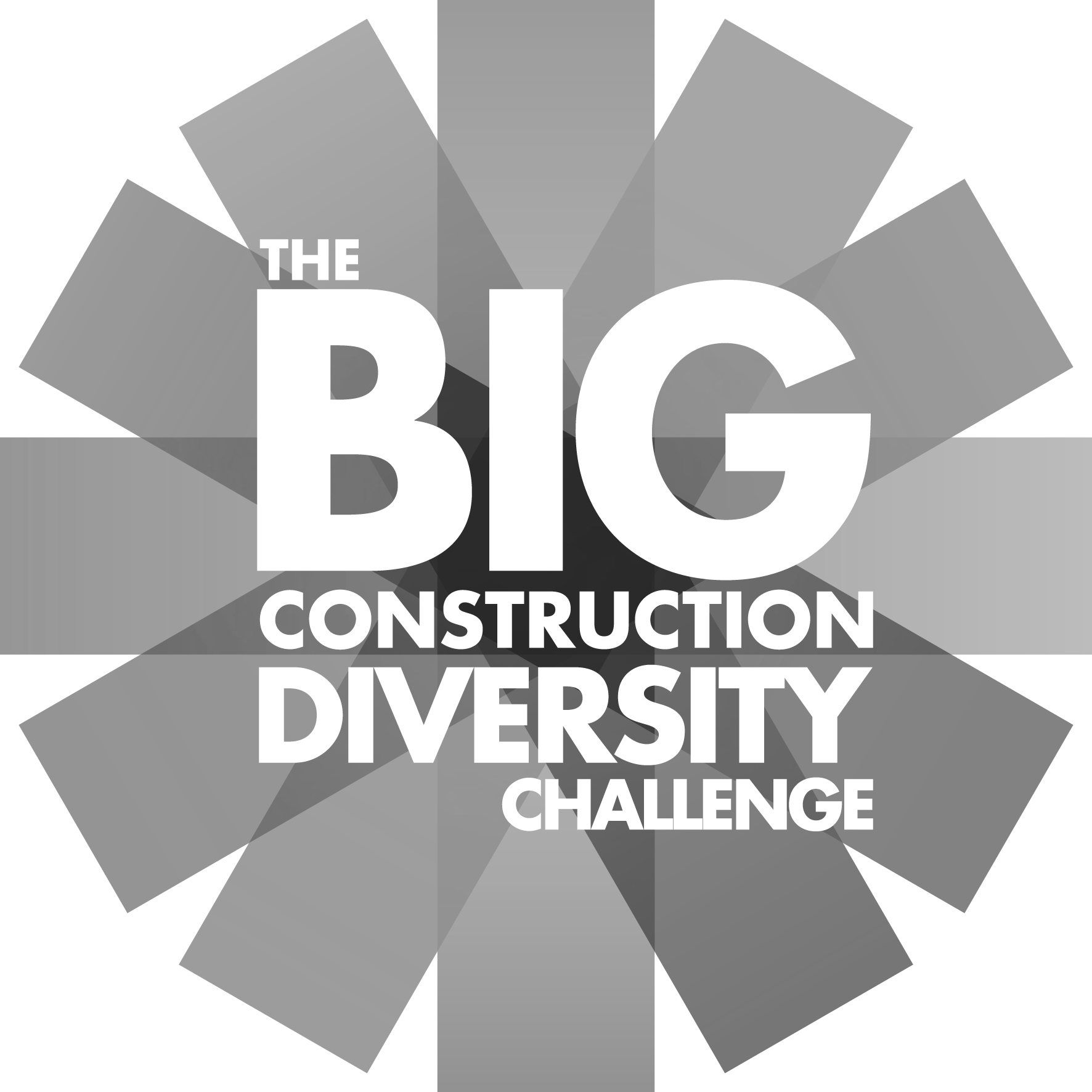 The Big Construction Diversity Challenge